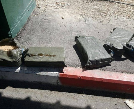 13887135_1220341698042729_3540053920820026519_n