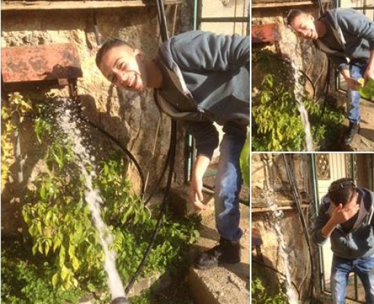 الشهيد أبو غوش 