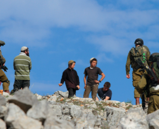 مستوطنون يقتحمون المناطق الأثرية شمال الخليل