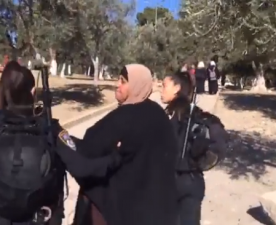اعتقال سيدة من الاقصى- لقطة من الفيديو (وفا)