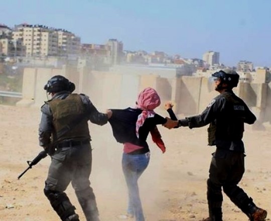 جنود الاحتلال يعتقلون فتاة فلسطينية بالضفة