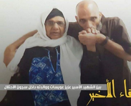 اللقاء الأخير 