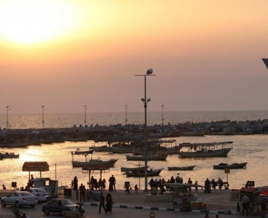 ارشيفية 