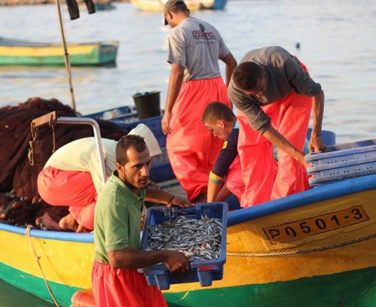 صيادو منطقة السودانيّة - شمال غرب مدينة غزّة