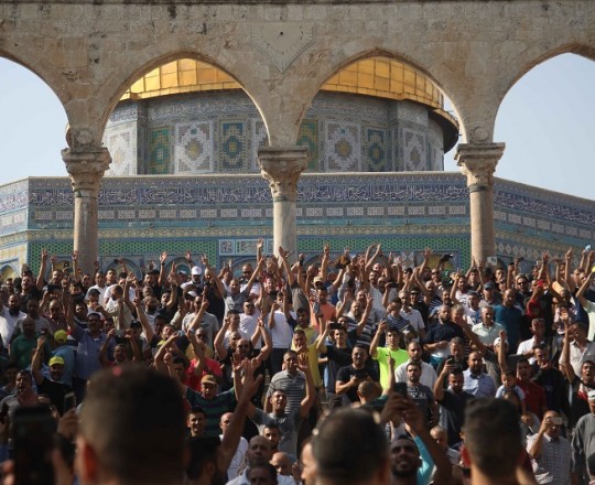 عن آباء المذلة