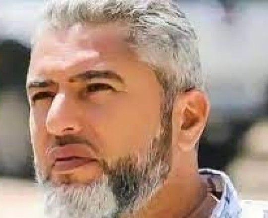 منتصر شلبي