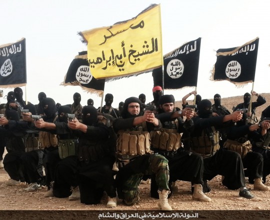 عناصر تنظيم 