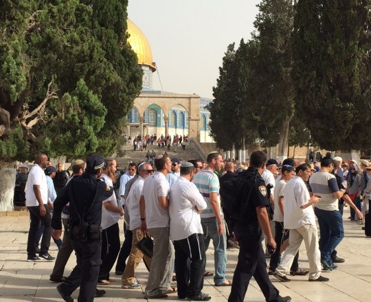 نحو 300 مستوطن يقتحمون المسجد الأقصى المبارك