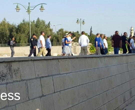 14317515_1125666114147608_6903290232046826928_n