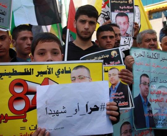 وقفات تضامنية مع الأسير محمد القيق - وفا 