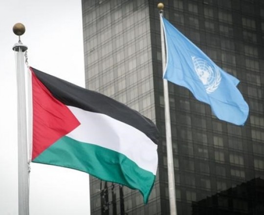 علم فلسطين بالأمم المتحدة
