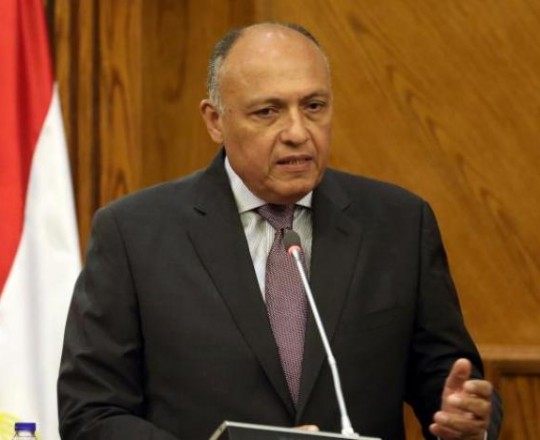 سامح شكري2