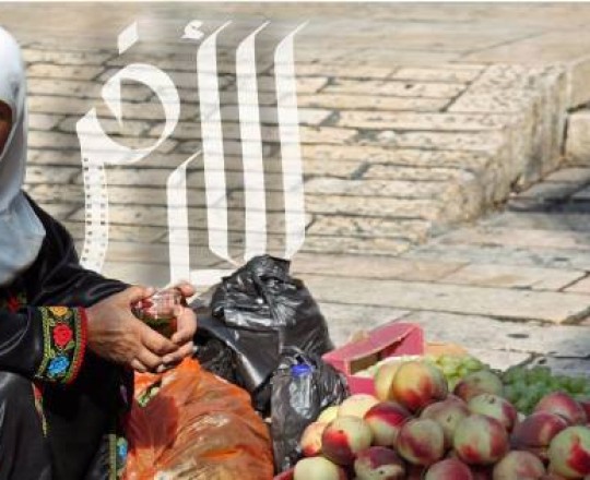 ce53a4eb779f10263cd55eb52e253f62