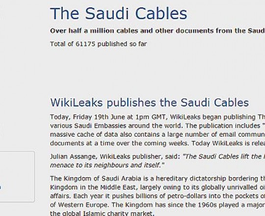 يعتزم الموقع نشر أكثر من 500 ألف وثيقة جديدة