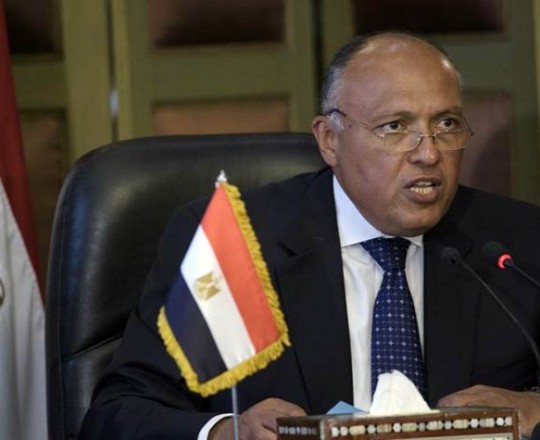 وزير الخارجية المصري سامح شكري