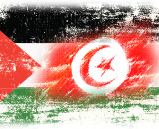 العلم الفلسطيني ونظيره التونسي