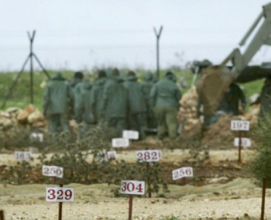 مقابر الأرقام