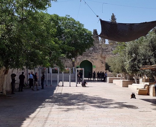 تركيب بوابة إلكترونية 