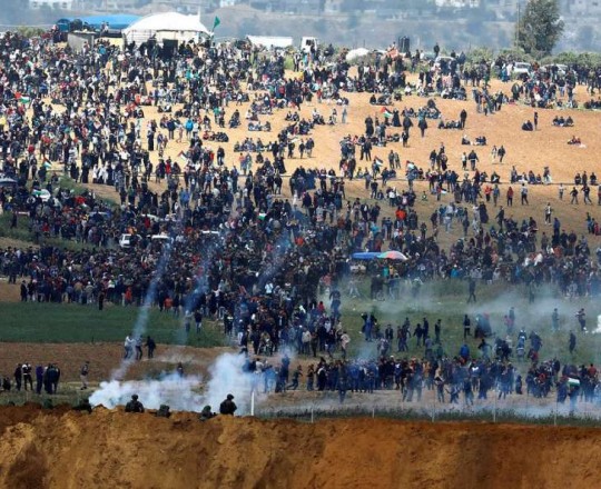 أشكال النضال.. تنظيم وإبداع وتجدد