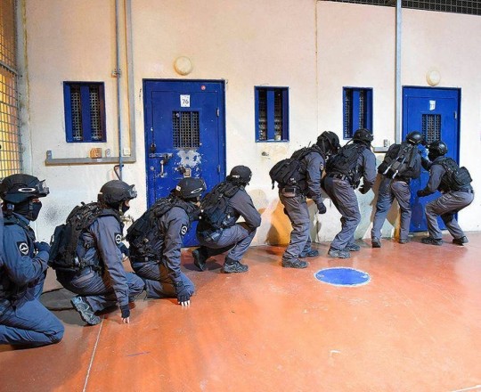 أرشيفية