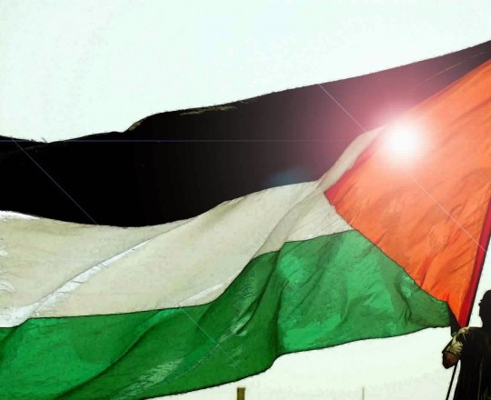 فلسطين