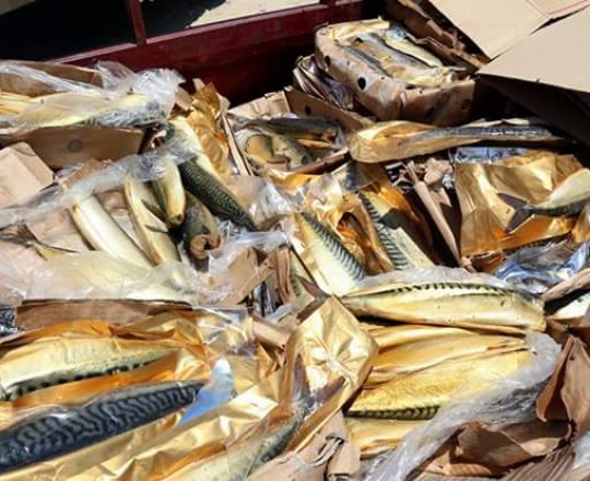 13631404_600479520132313_1051591385093492379_n