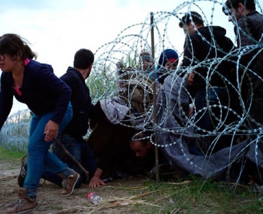 اللاجئين السوريين في المانيا