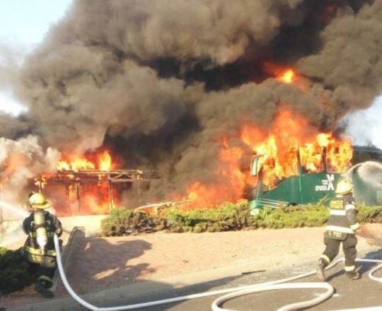 13015241_1149013818508851_361914926988003717_n