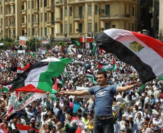 مصر فلسطين يناير