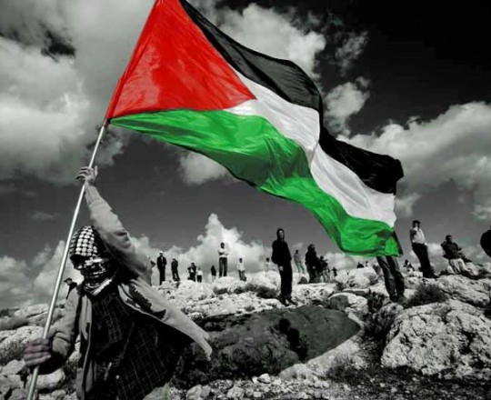 فلسطين