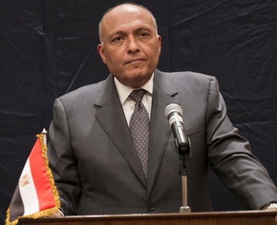 وزير الخارجية المصري سامح شكري