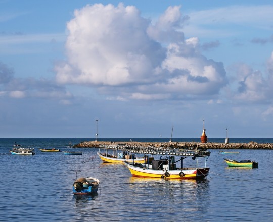 ميناء مدينة غزة