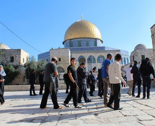 اقتحام المسجد الأقصى المبارك - أرشيف