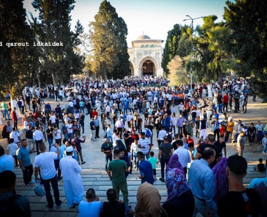 صورة من الاقصى اليوم