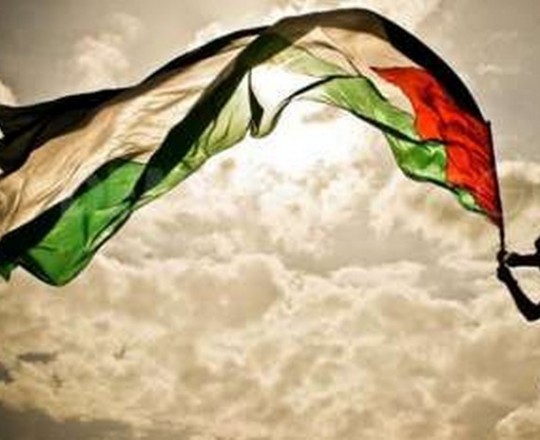 742a8b9460d10041580d877dff12cc5f