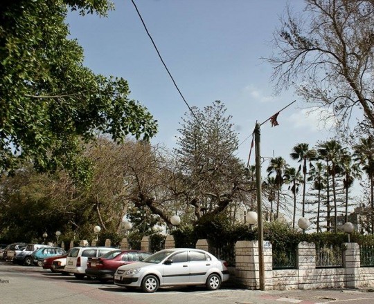 مدينة غزة - ارشيف الهدف