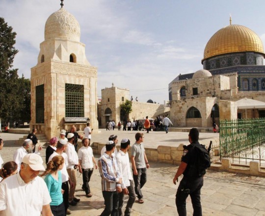 مستوطنون يجددون اقتحاماتهم لباحات المسجد الأقصى