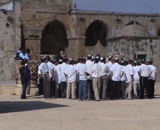 مستوطنون يستمرون في اقتحام الأقصى وسط حماية مشددة