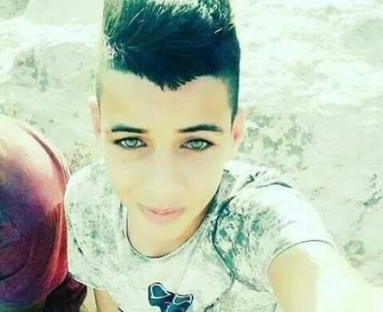 17861968_1301628286539910_260872729415641070_n