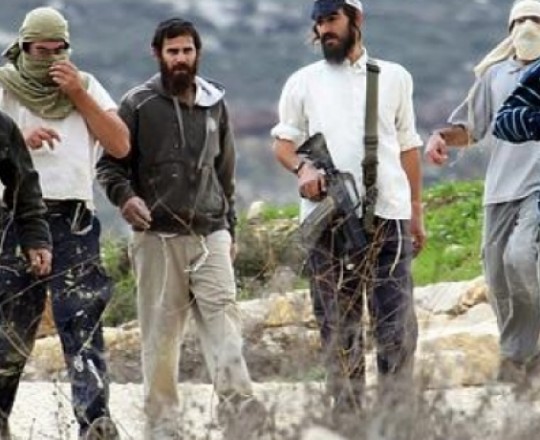 عصابات المستوطنين التي تقطع الطرقات وتهاجم المنازل في الضفة