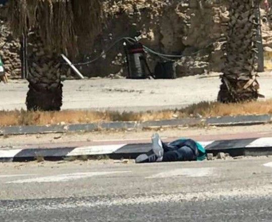 الشهيد محمد مرشود