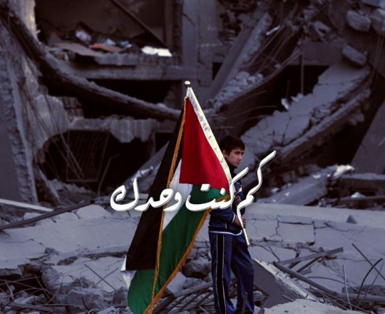 الذكرى الأولى للعدوان الأخير 2014.