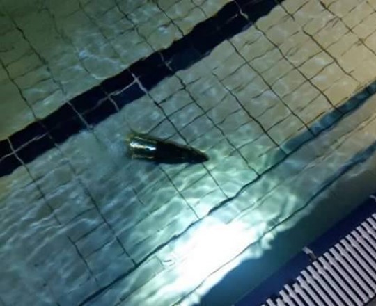 بقايا الصاروخ 