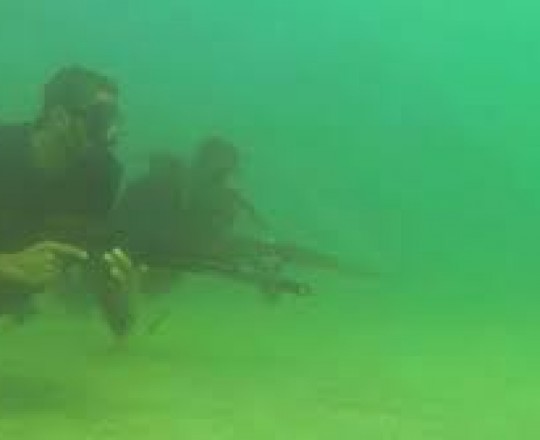 المقاومة الفلسطينية