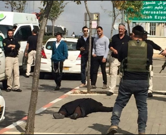 الأسيرة المصابة حلوة حمامرة