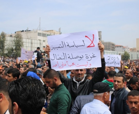 ارشيفية 