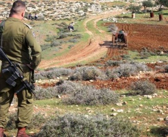 الاستيلاء على أراضي فلسطينية - أرشيف