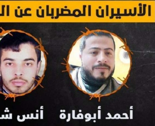 الأسرى المضربين