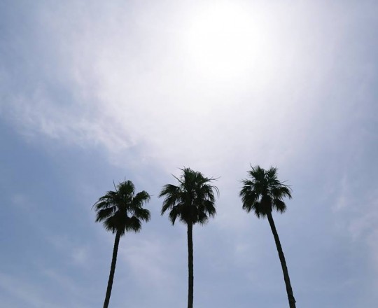 الأجواء الصيفية صباحاً