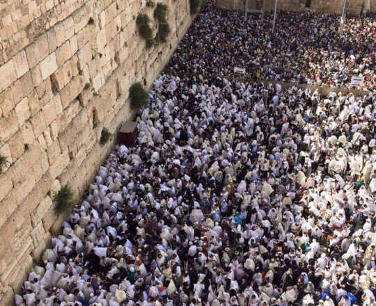 13094190_569309473230296_758681592128156697_n